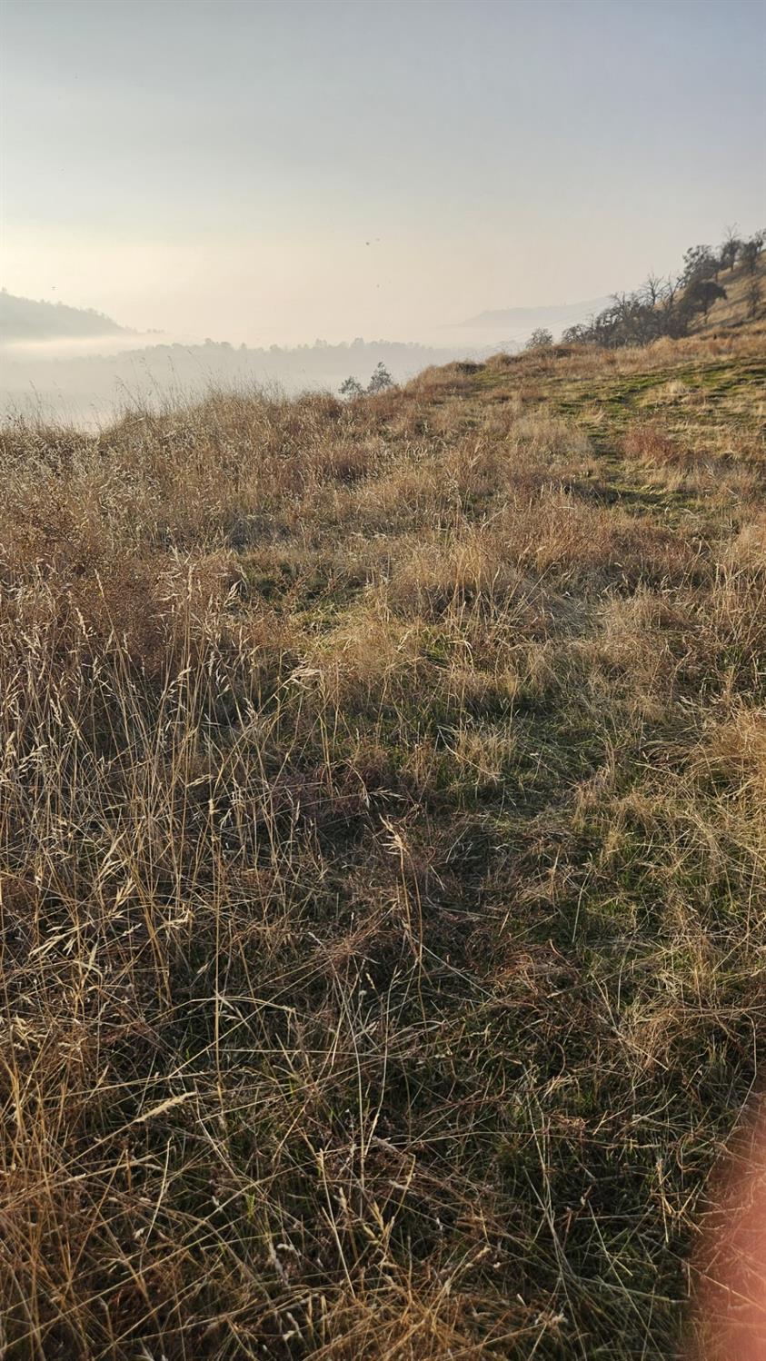 0 0 Hidden Hollow Ln, Tollhouse, CA 93667