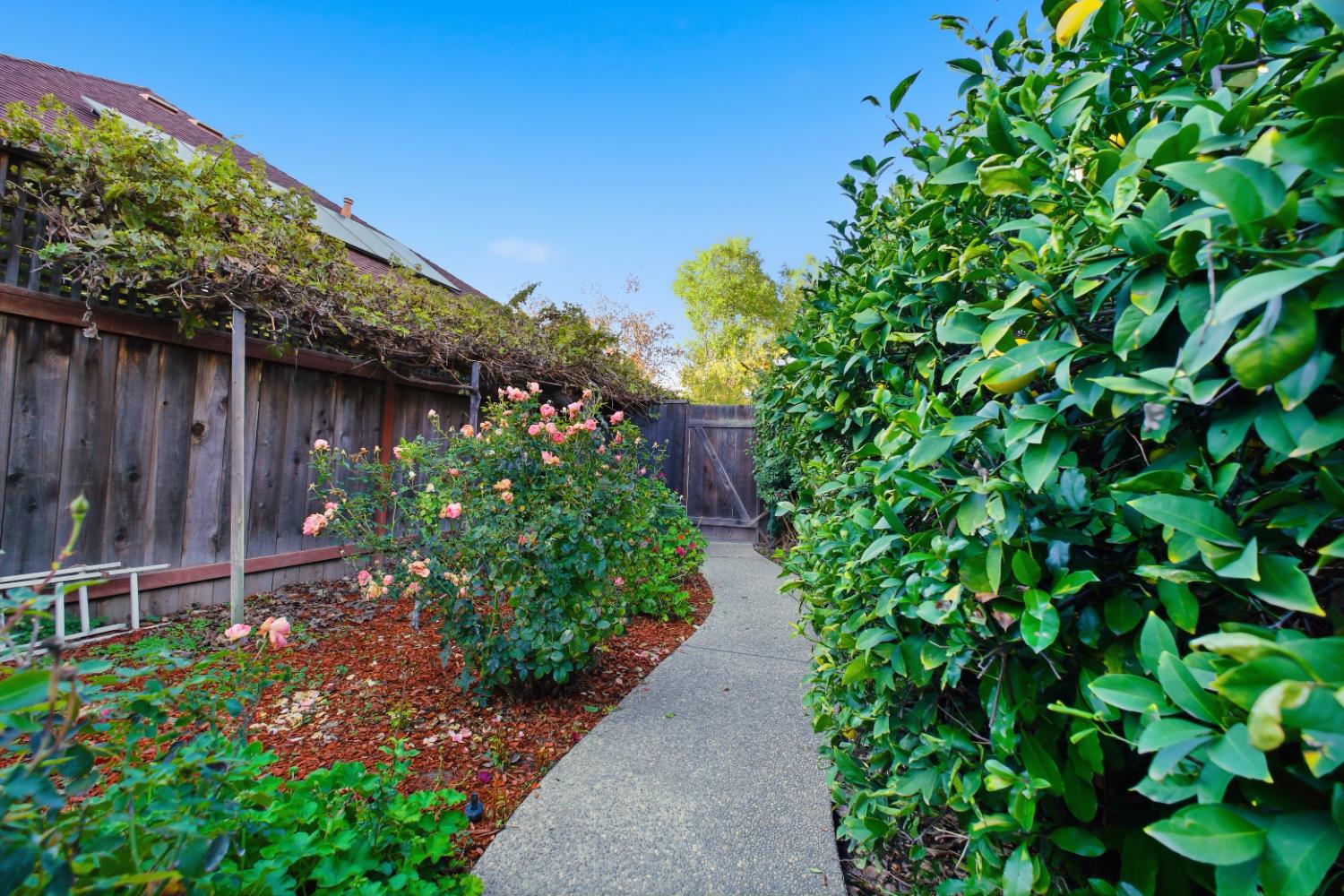 1123 E Cole Ave, Fresno, CA 93720